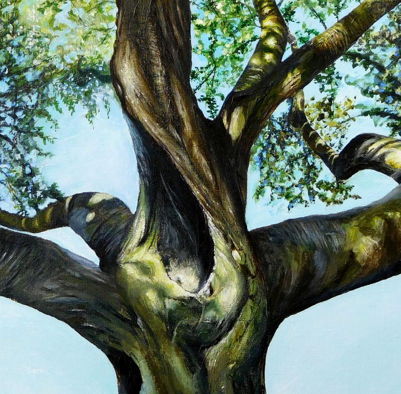 4 Trees Planted for Each Sold Artwork - Rhia Janta-Cooper Fine Art