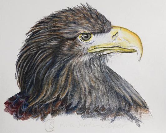 Discover the Perfect Small Artwork Online - Rhia Janta-Cooper Fine Art