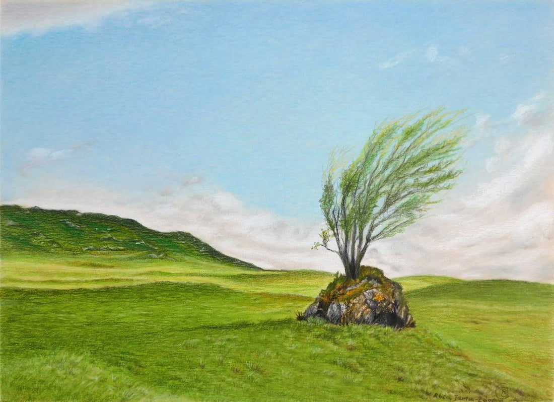 Master the Art of Pencil Landscape Drawing - Rhia Janta-Cooper Fine Art