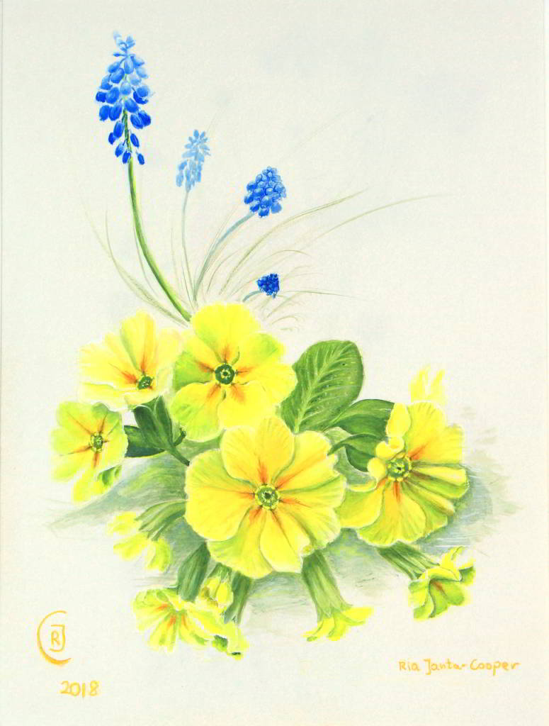 Grape Hyacinths and Primroses Artwork - Rhia Janta-Cooper Fine Art