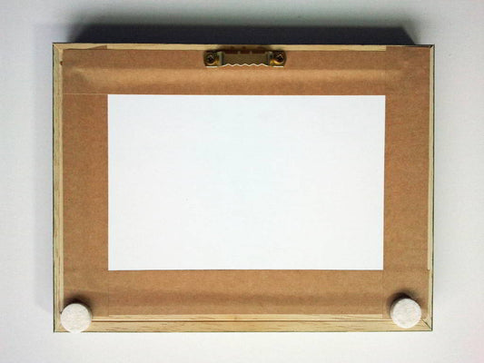 Miniature Landscape of Central Valley - Rhia Janta-Cooper Fine Art