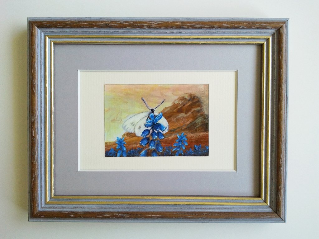 Miniature Painting of Scottish Butterfly on Bluebells - Rhia Janta-Cooper Fine Art