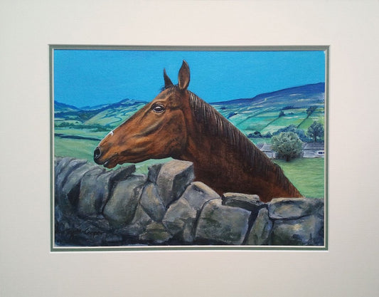 Painting of Peter's Horse from Healaugh - Rhia Janta-Cooper Fine Art