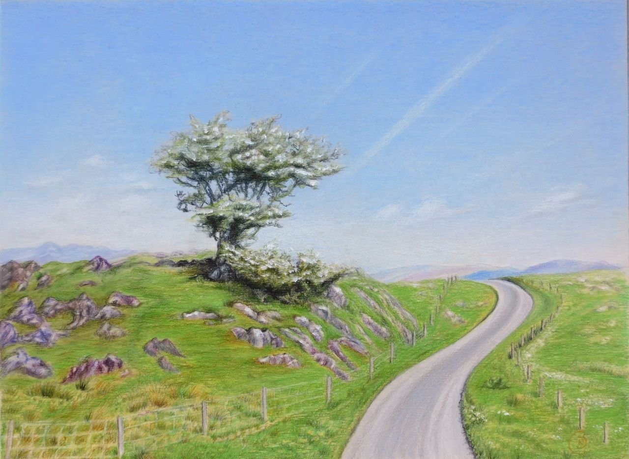 Scottish Landscape With a Tree Growing on Stones - Rhia Janta-Cooper Fine Art