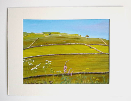 Sweadale's Wildflowers Meadow Painting - Rhia Janta-Cooper Fine Art