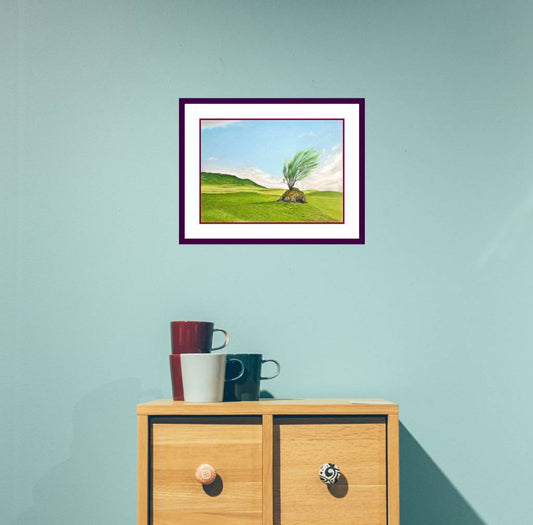 Tree Growing on a Rock, Scottish Highlands Drawing - Rhia Janta-Cooper Fine Art