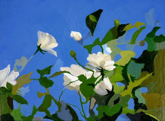 Series of Paintings White Roses of York - Rhia Janta-Cooper Fine Art