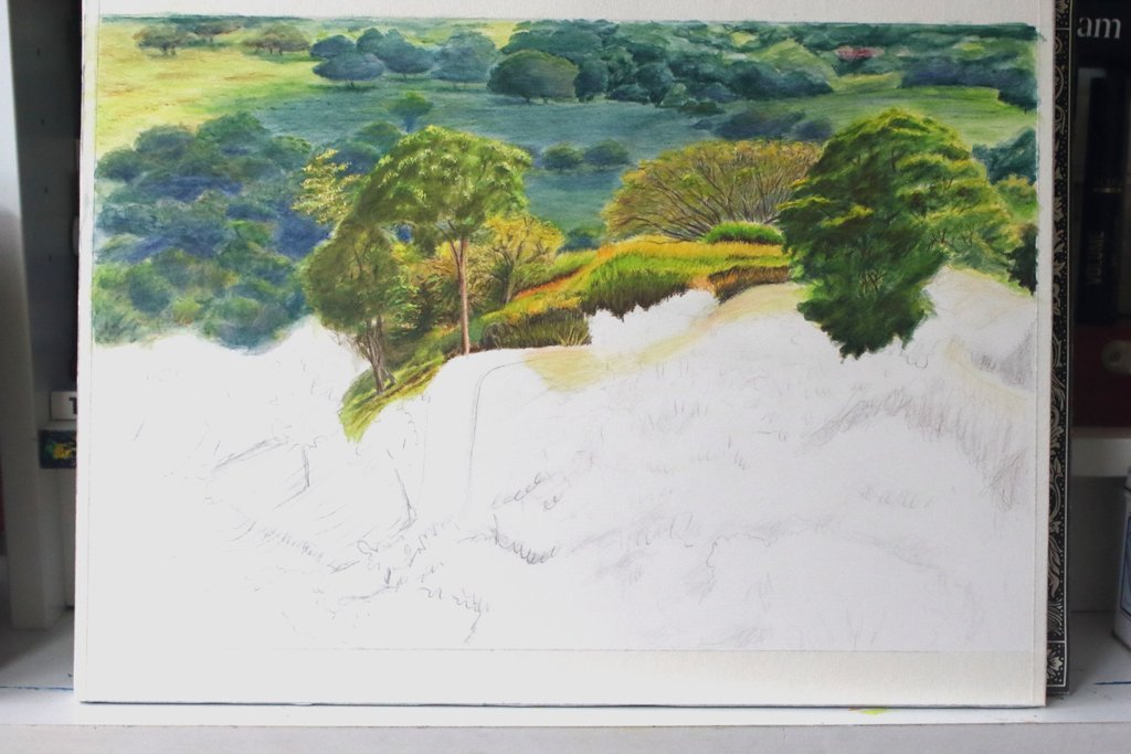Nature is All Around Us - Rhia Janta-Cooper Fine Art