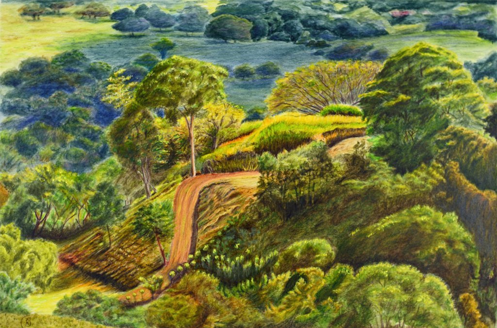 Nature is All Around Us - Rhia Janta-Cooper Fine Art