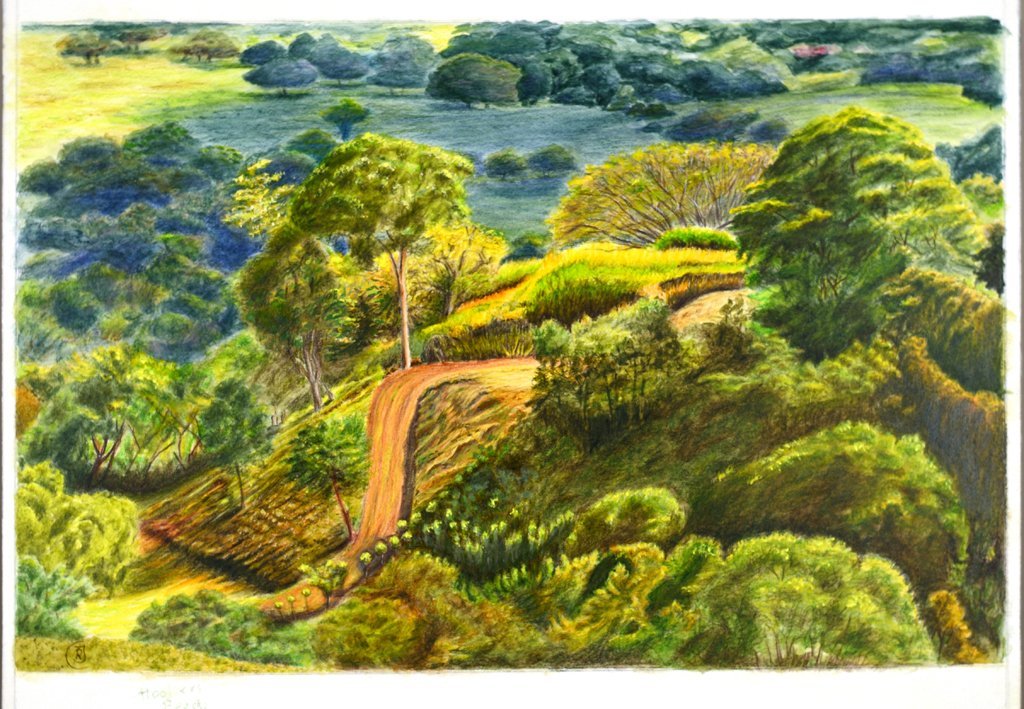 Nature is All Around Us - Rhia Janta-Cooper Fine Art