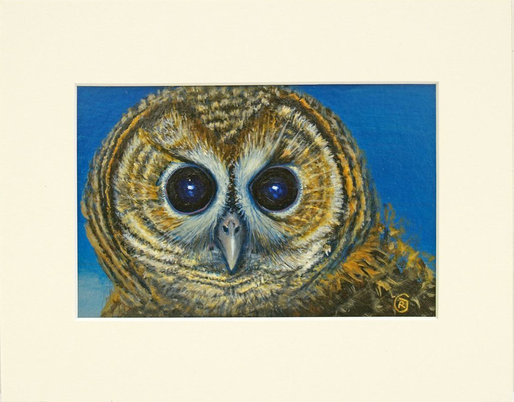 An Owl Portrait - Rhia Janta-Cooper Fine Art mounted