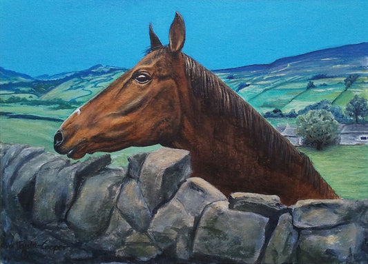 Painting of Peter's Horse from Healaugh - Rhia Janta-Cooper Fine Art