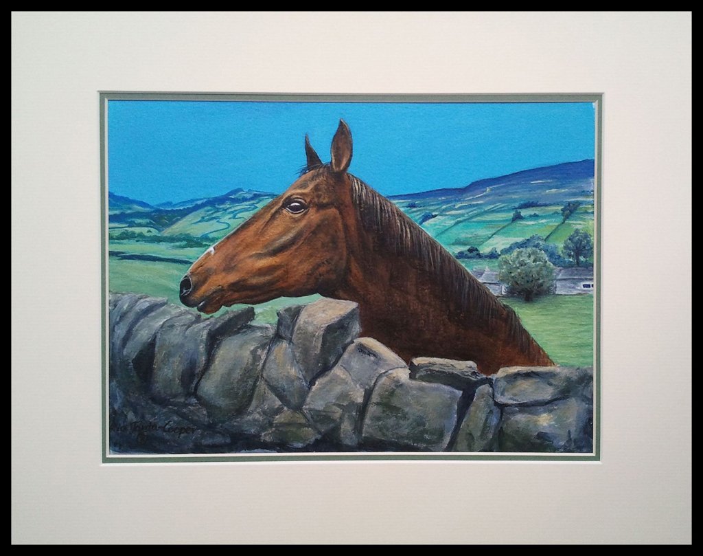 Painting of Peter's Horse from Healaugh - Rhia Janta-Cooper Fine Art