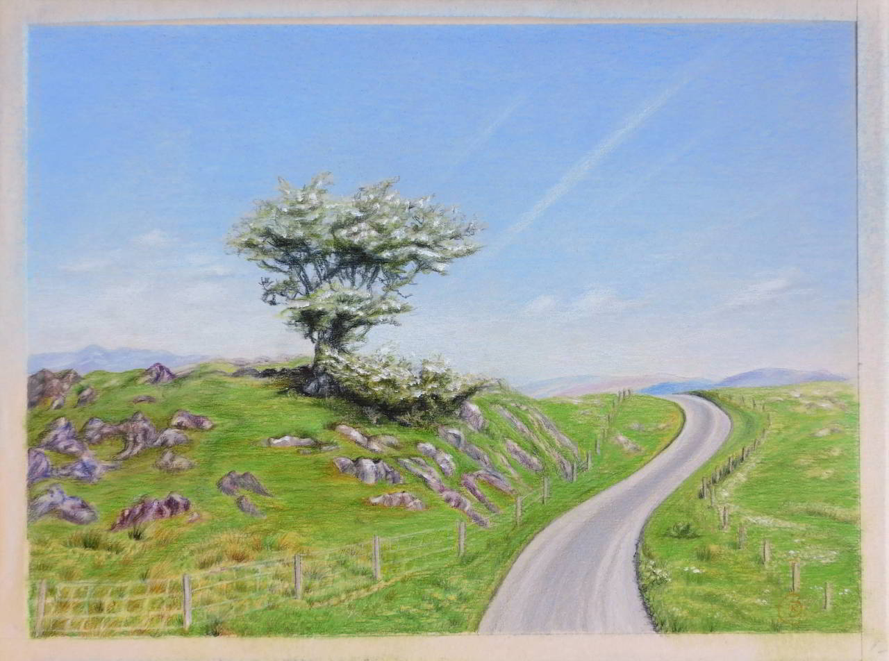 Scottish Landscape With a Tree Growing on Stones - Rhia Janta-Cooper Fine Art