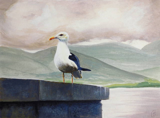 Skye Aileana Seagull - a bird portrait - Rhia Janta-Cooper Fine Art