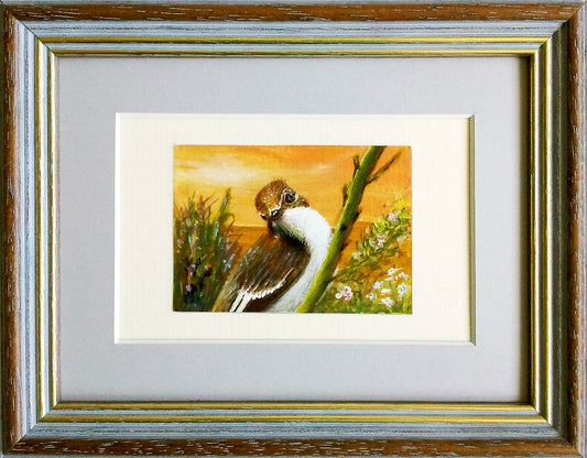 Small Painting, Funny Bird - Rhia Janta-Cooper Fine Art