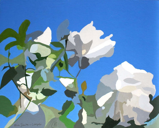 White Roses of York II - Rhia Janta-Cooper Fine Art